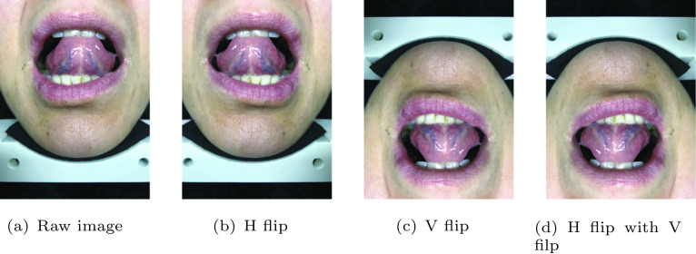 Fig. 3