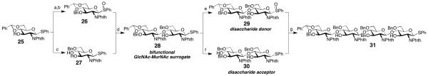 Scheme 5