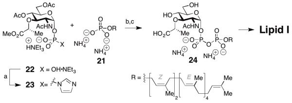 Scheme 4