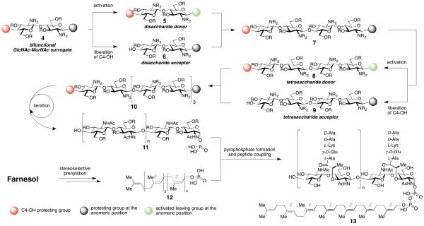 Scheme 2