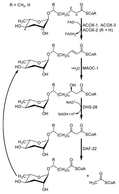 Fig. 8