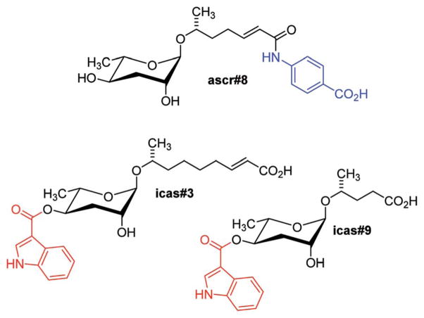 Fig. 2