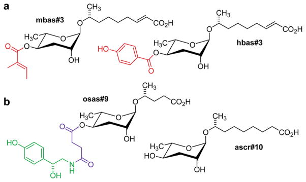 Fig. 3