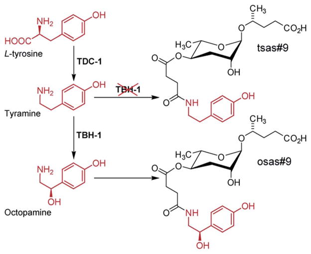 Fig. 10