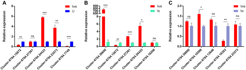 Figure 14