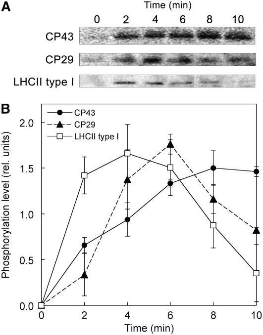 Figure 9.