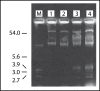 Figure 1: