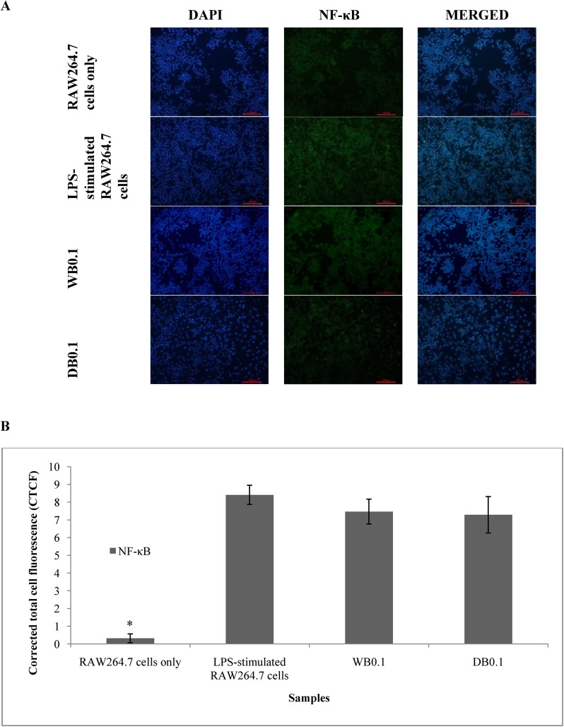 Fig 12