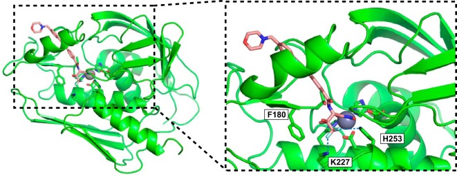 FIG 2 