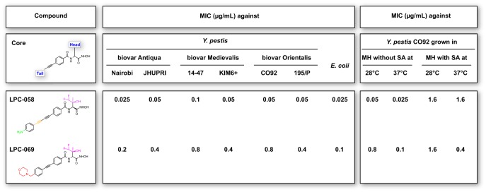 FIG 1 