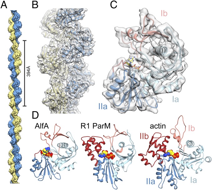 Fig. 2.