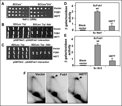 FIGURE 4.