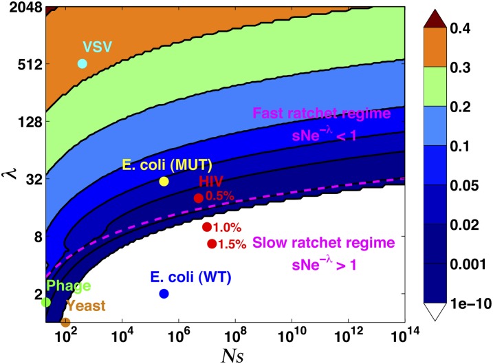 Figure 6 