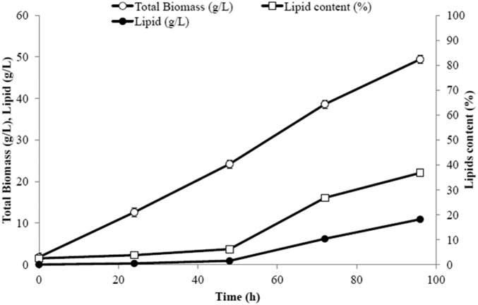 Fig. 10.