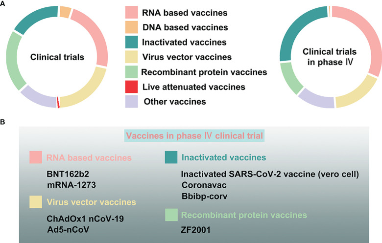 Figure 6