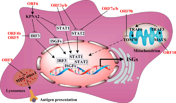 Figure 3