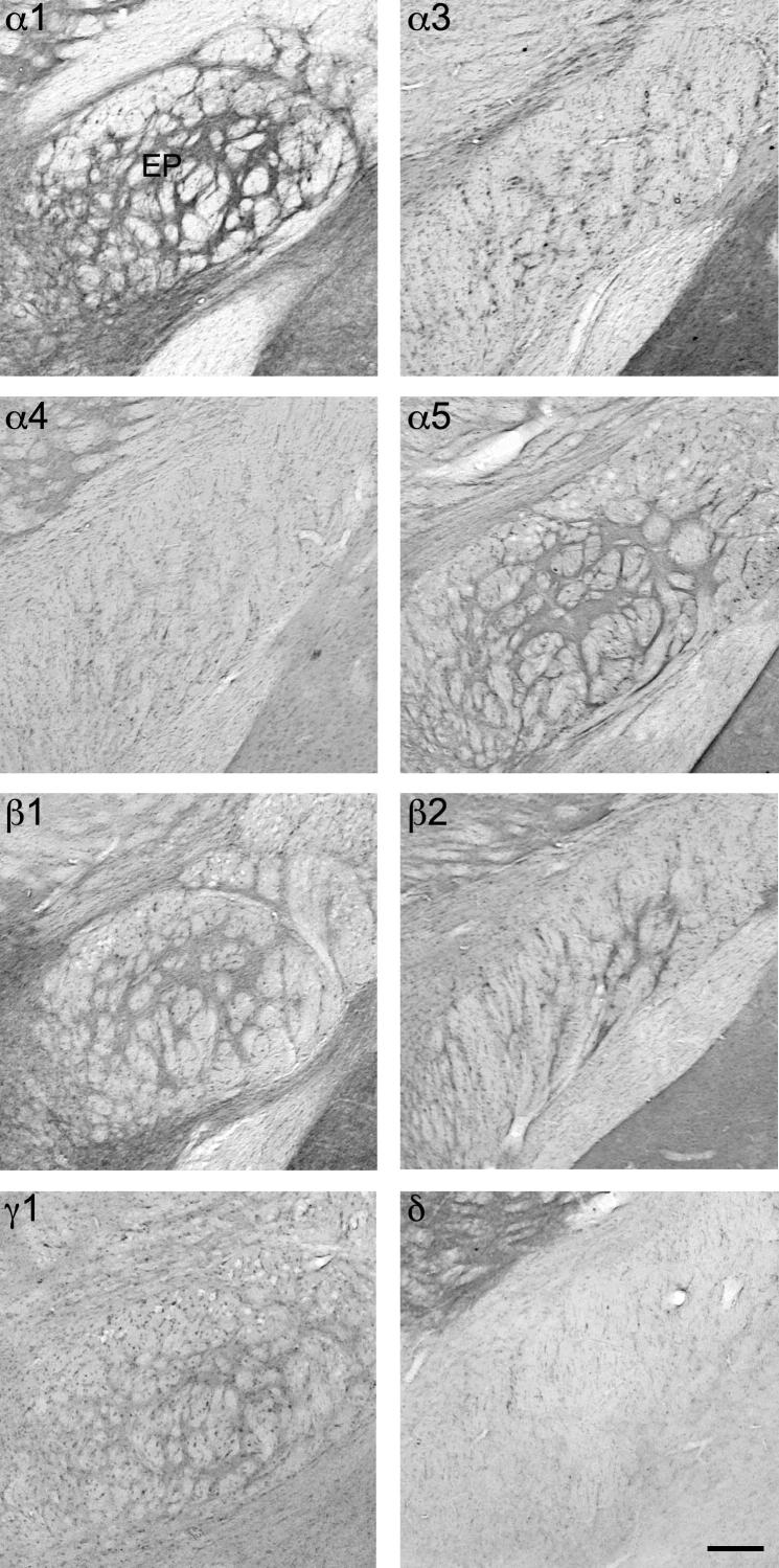 Fig. 12