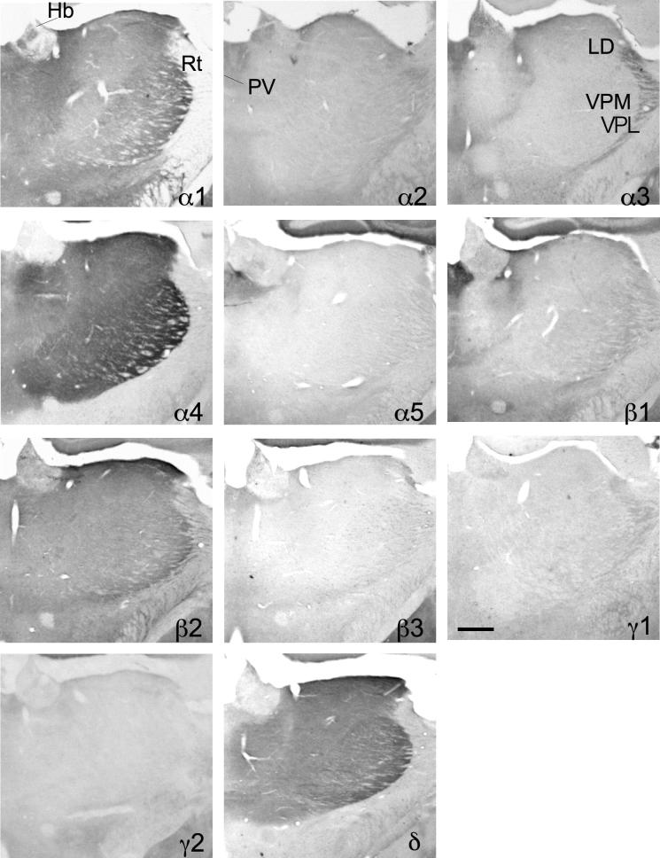 Fig. 13