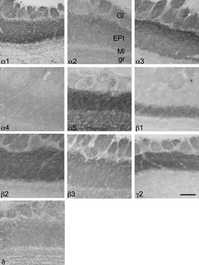 Fig. 20