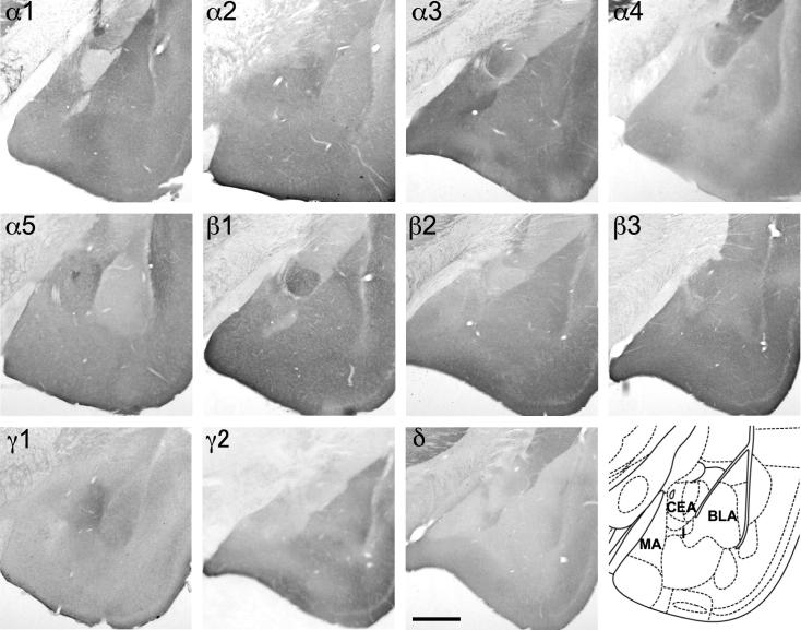 Fig. 16