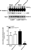 FIG. 6.