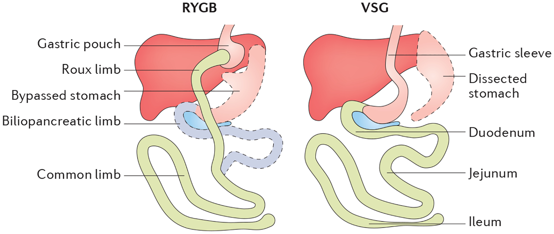 Figure 3 |