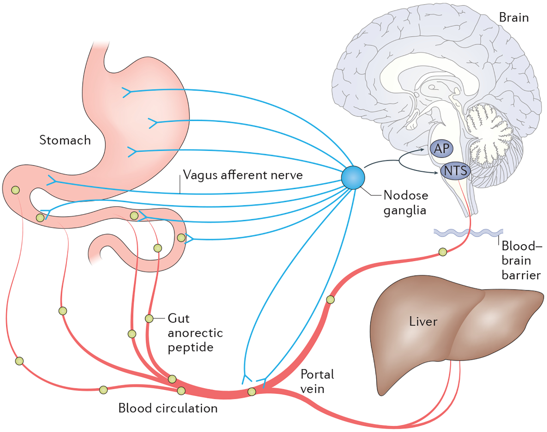 Figure 2 |