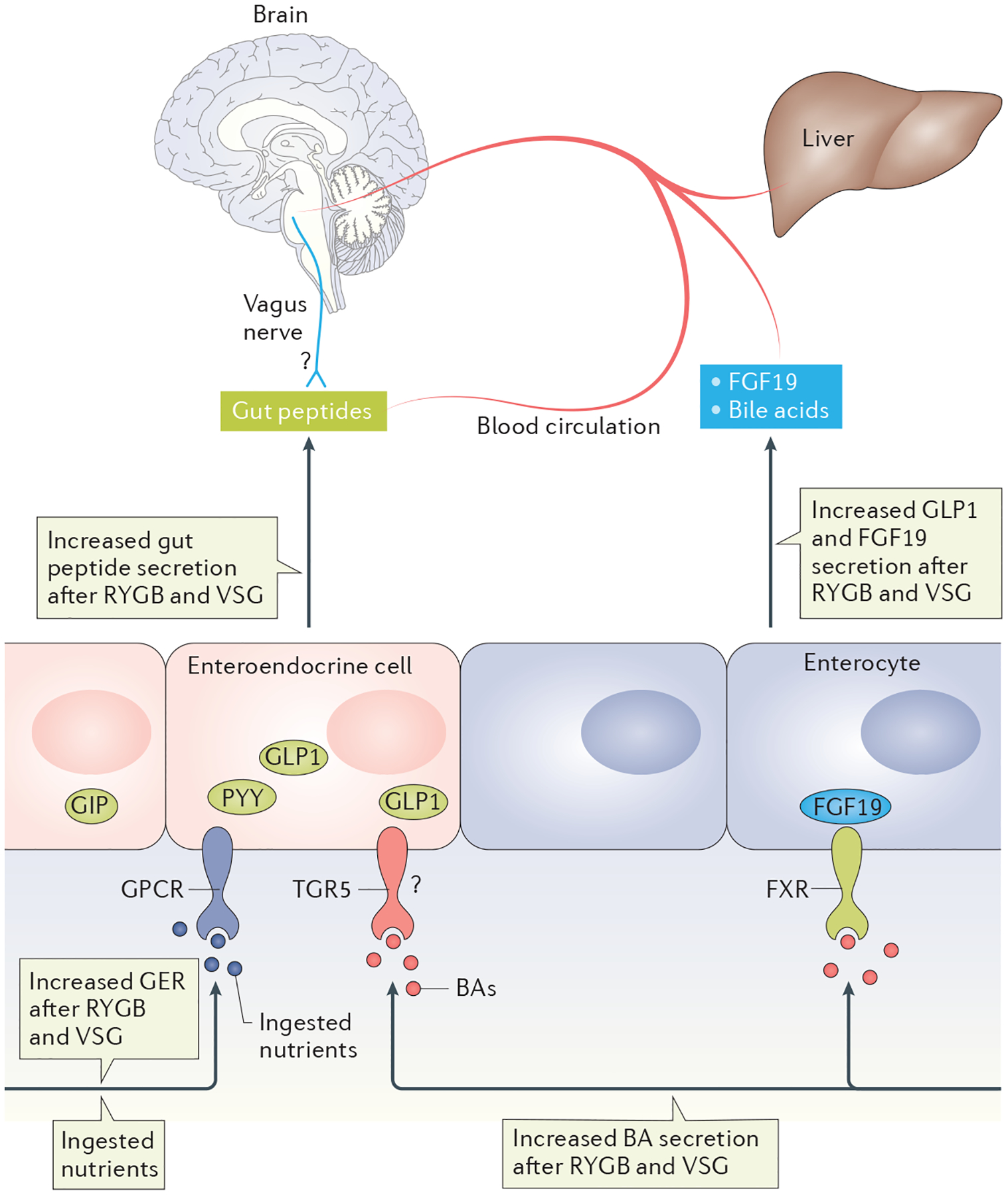 Figure 4 |