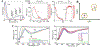 Figure 27.
