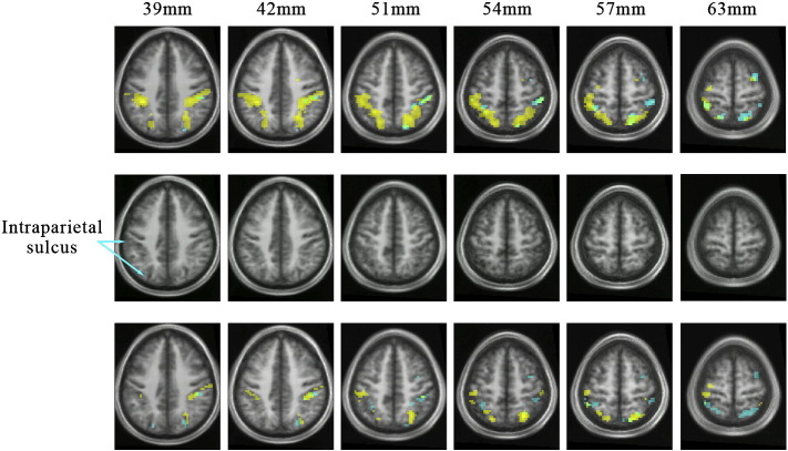 Fig. 4