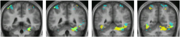 Fig. 7