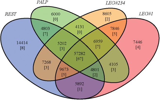 Fig. 2.—