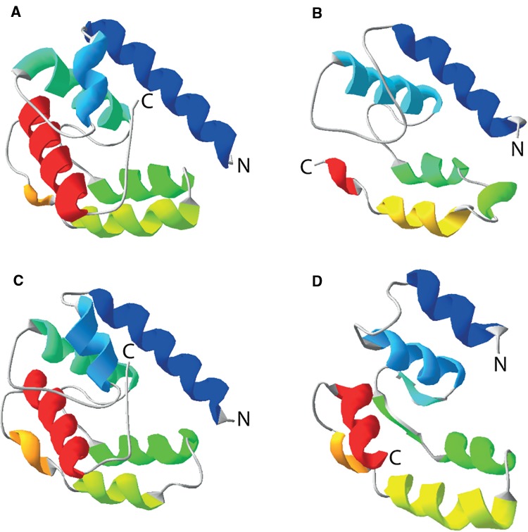 Fig. 6.—