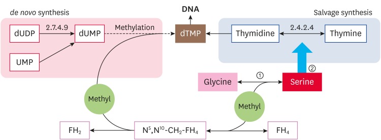 Fig. 5