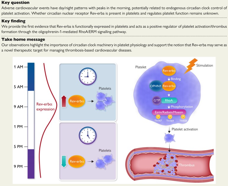 Structured Graphical Abstract