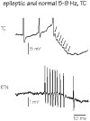 Figure 8