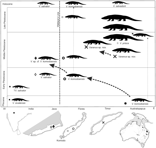 Figure 9