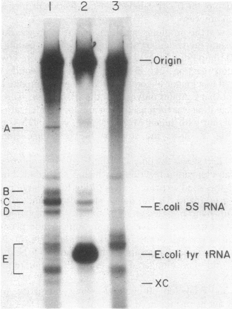 graphic file with name pnas00659-0130-a.jpg