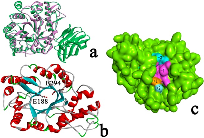 Figure 4