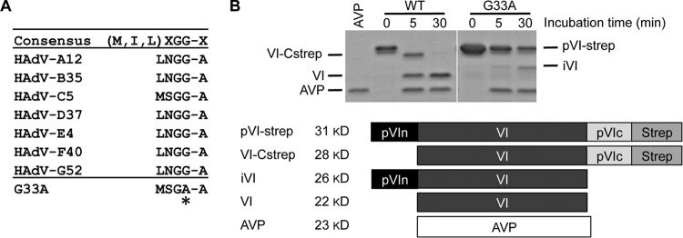 FIG 3