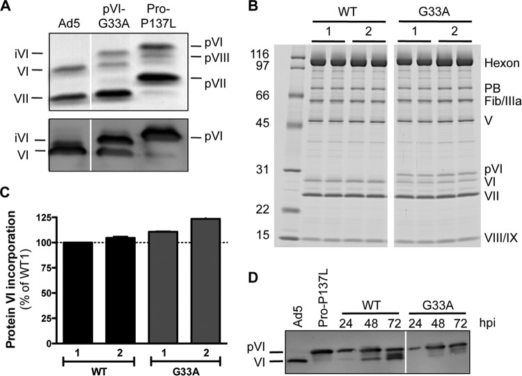 FIG 4