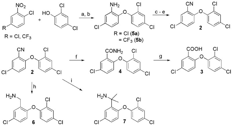 Scheme 1