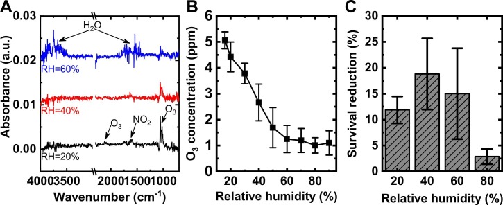 Fig. 10