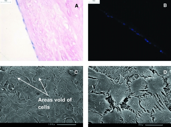 FIG. 7.