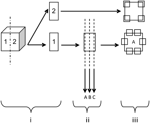 FIG. 1.