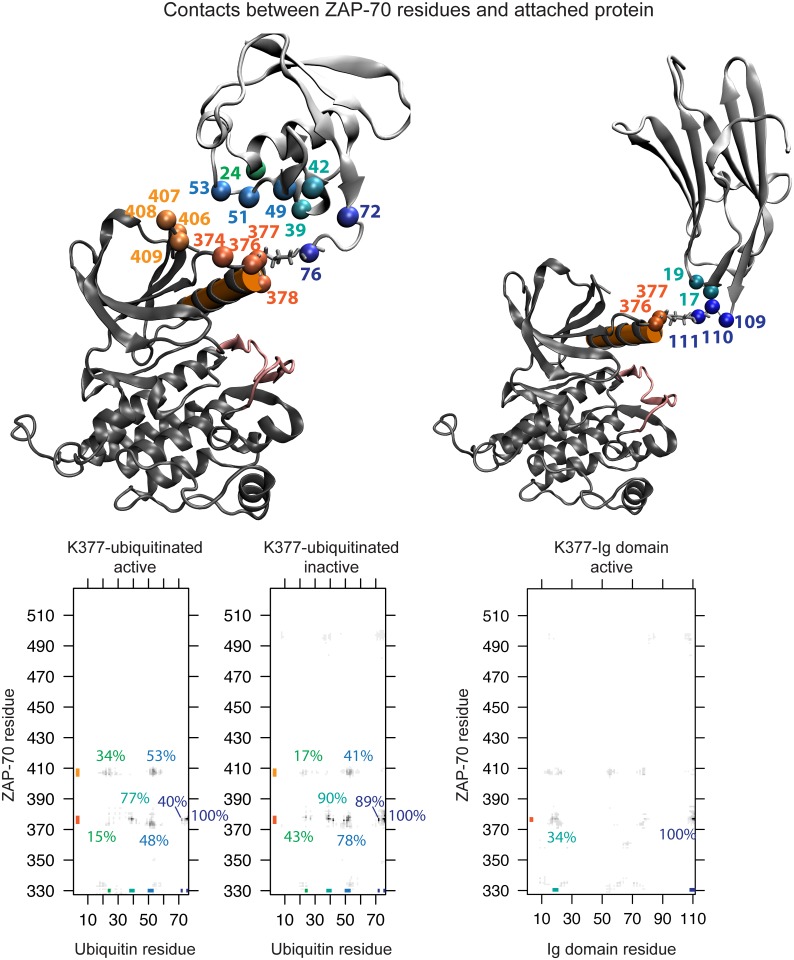 Fig 10