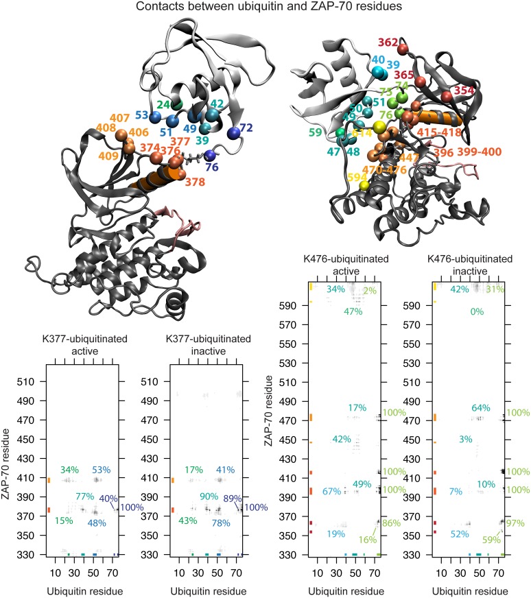 Fig 11