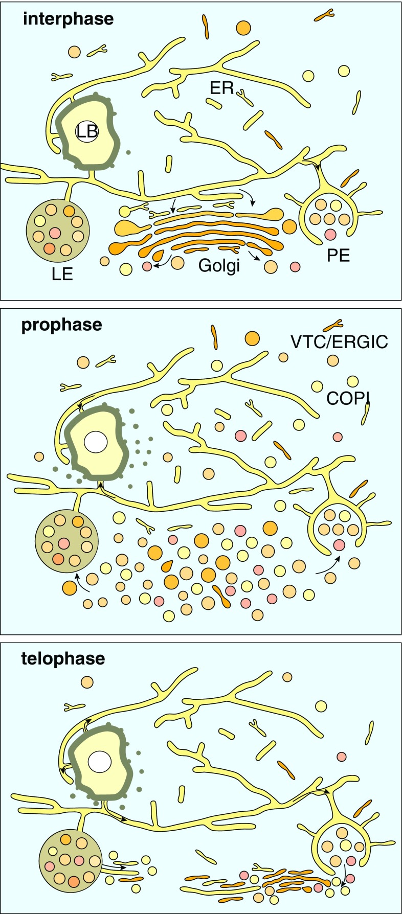 Fig. 9