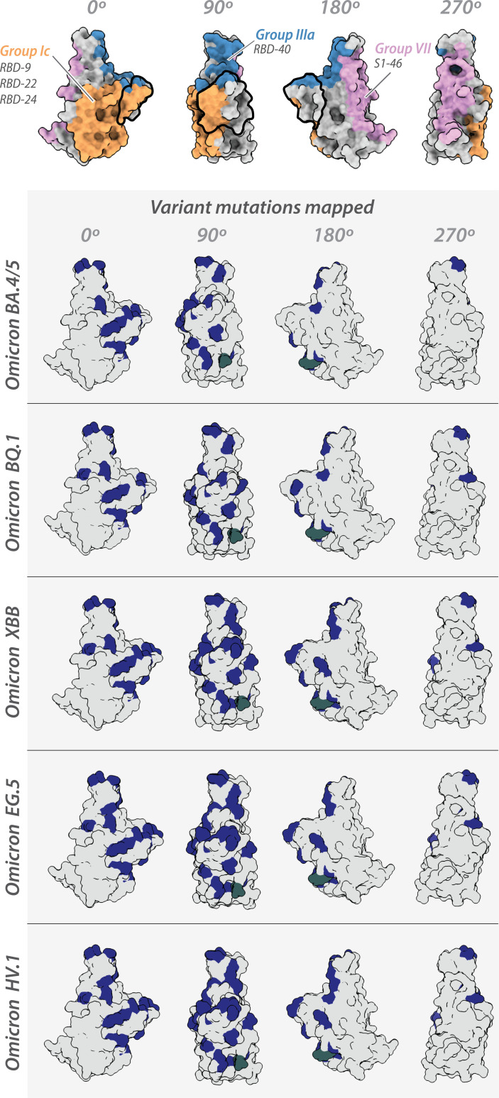 Figure 5—figure supplement 1.