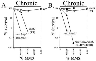 FIG. 7